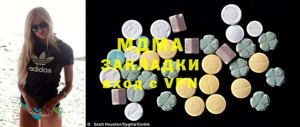 индика Абаза