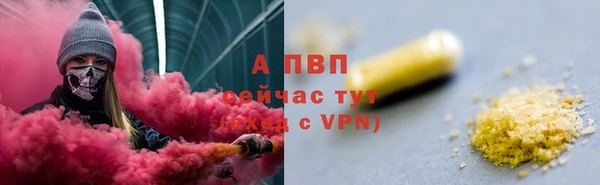 индика Абаза