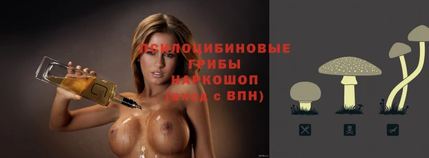 индика Абаза