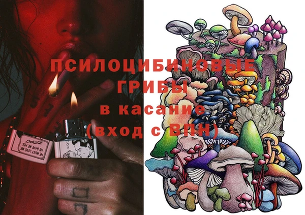 индика Абаза