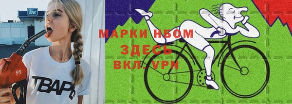 индика Абаза