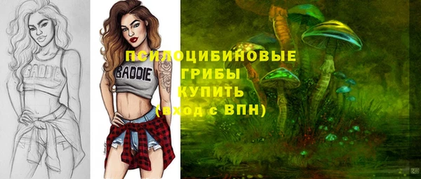 круглые Алзамай