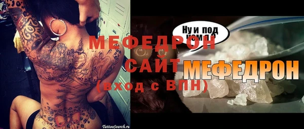 индика Абаза