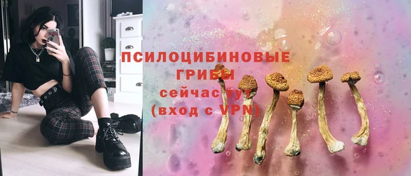 индика Абаза