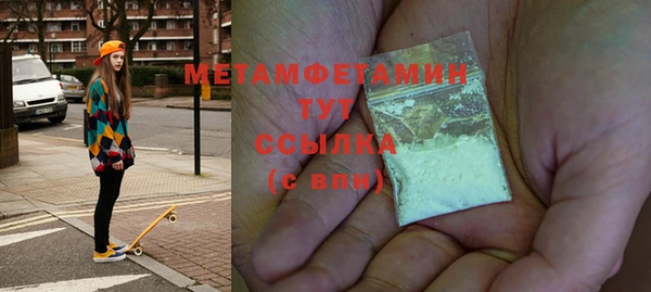 индика Абаза