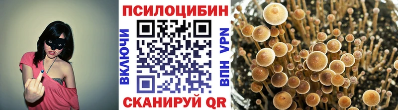 Псилоцибиновые грибы MAGIC MUSHROOMS  Сусуман 