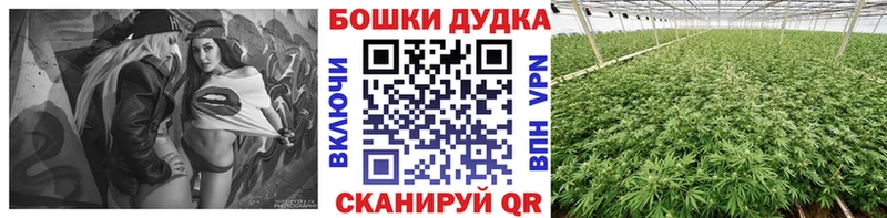 где найти наркотики  Сусуман  Бошки марихуана индика 